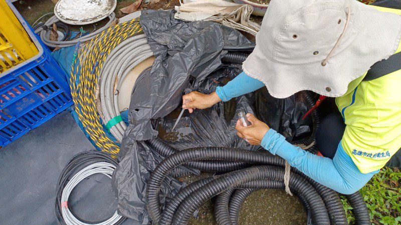 防疫人員在左營區青雲宮市集周邊查獲垃圾袋孳生病媒蚊。圖／高市衛生局提供