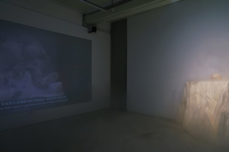 蔡咅璟作品「不在研究室的標本」，以詩意、具藝術性的方式呈現他透過靈媒與人骨標本溝通的過程。圖／蔡咅璟提供