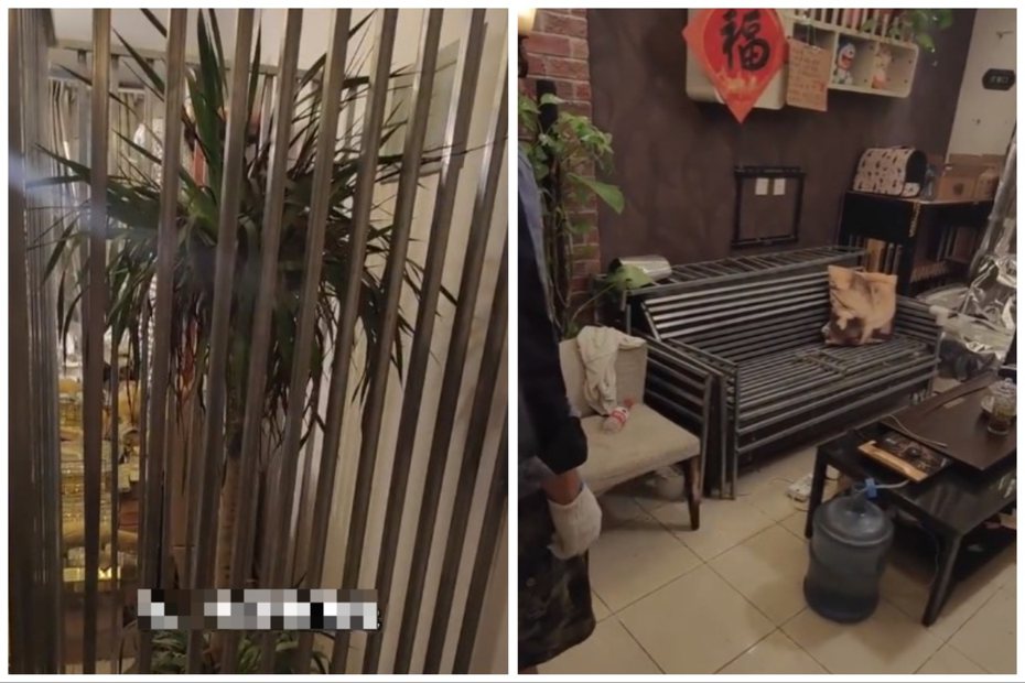 飼主防貓拆家把家裡裝潢成監獄風，把盆栽關在牢籠中（左），沙發也用鐵棍保護。圖取自微博