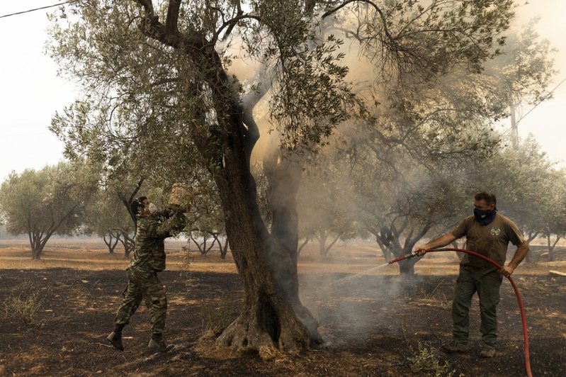 希臘消防當局表示，在東北部阿萬塔斯村（Avantas）南方農村地區發現了可能是移民的18具燒焦屍體。美聯社