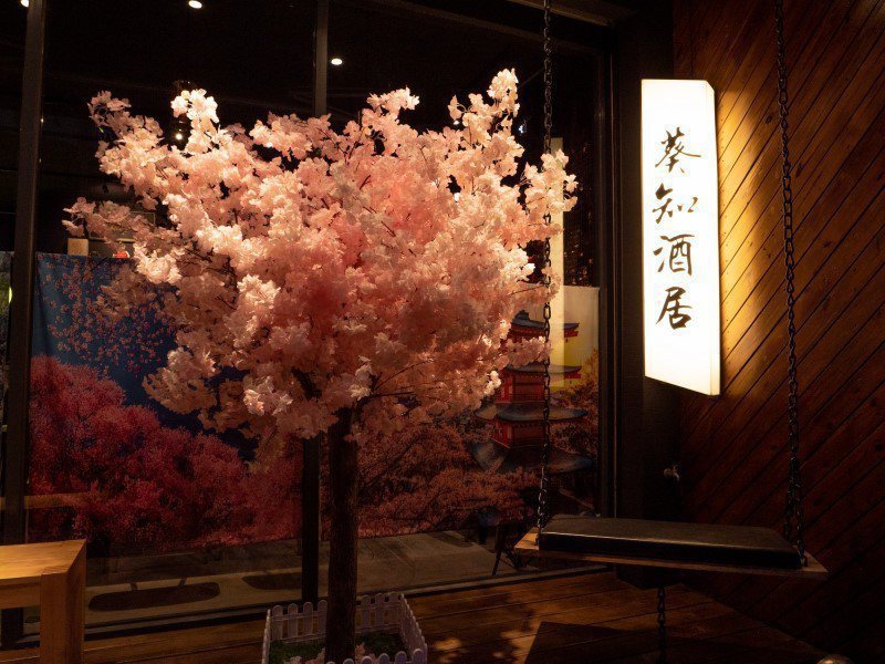 戶外的櫻花樹與鞦韆是店內人氣的打卡景點。 圖／ShareLife分享生活