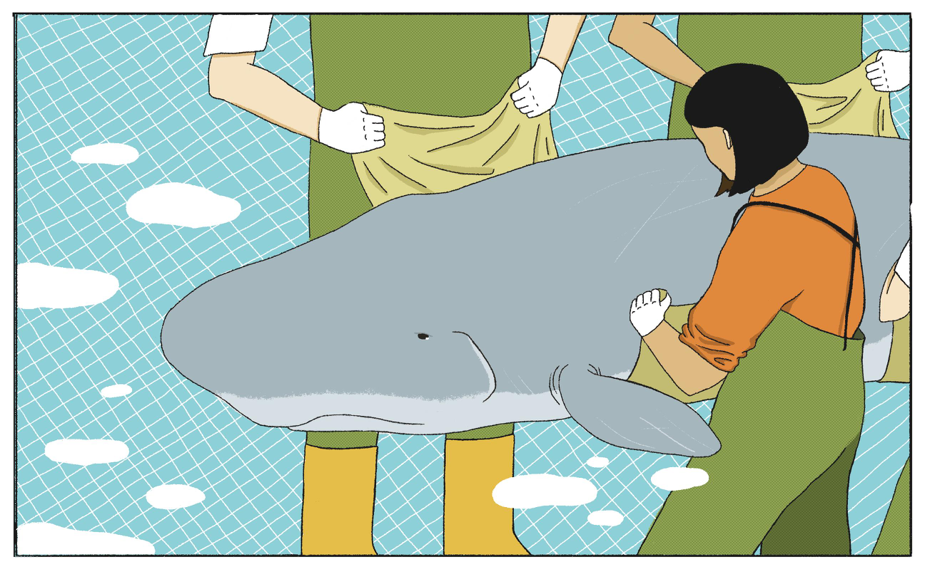 對大海、生命的理性與感性：擱淺鯨豚救援志工。圖／腦大
