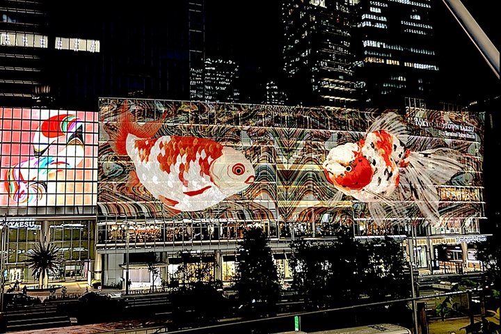 ▲點燈活動「數位掛軸 八重洲夏金魚」。（示意圖）　圖：TOKYO STATION CITY 營運協議會／來源
