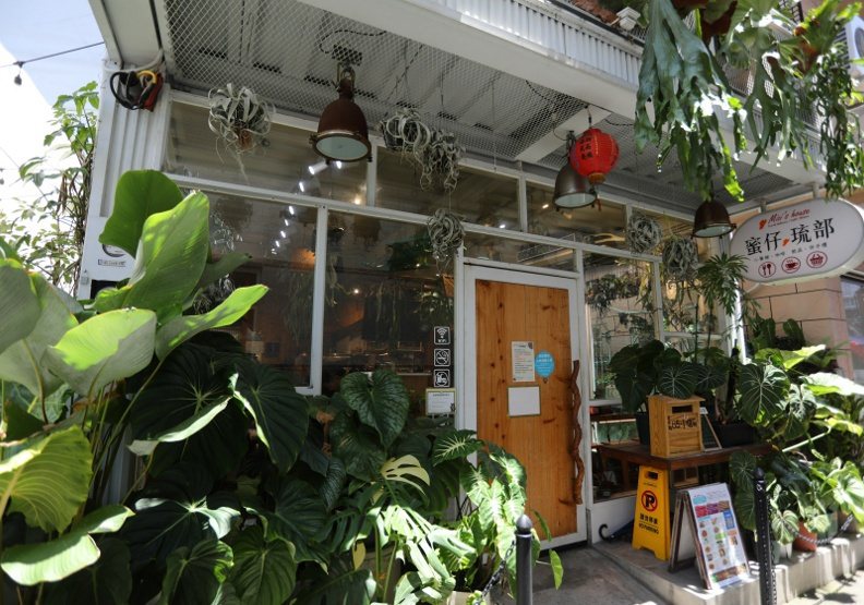 小琉球這幾年觀光盛行，也讓網美風吹進這個純樸的小漁村，在最熱鬧的民生路巷內，有著一家森林系玻璃屋餐廳，除了可以享用美味餐點，還能欣賞老闆栽種的各類盆栽。張智傑攝