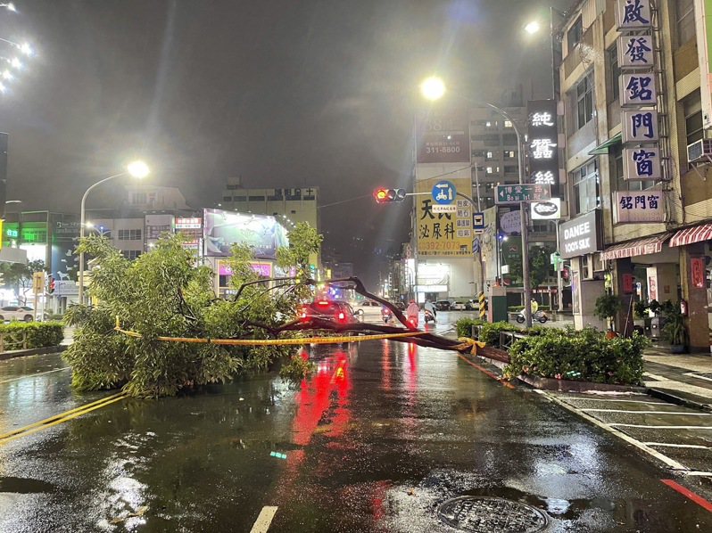 在海葵颱風肆虐下，高雄多棵路樹在風雨中折斷。圖／讀者提供