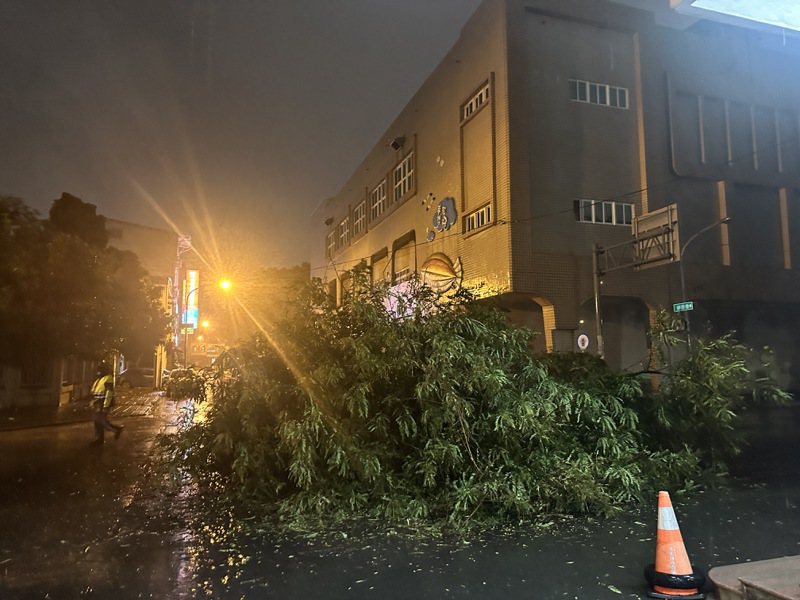 屏東縣發生至少10多起路樹倒塌。記者劉星君／攝影