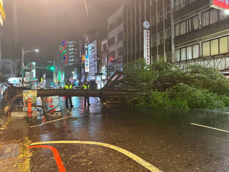 台南市受海葵颱風影響，有180棵行道樹被吹倒。圖／南市工務局提供