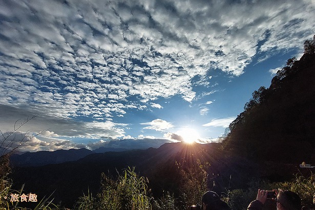 阿里山 特富野古道 拜訪鹿林神木 自忠登山口觀景台 看日出