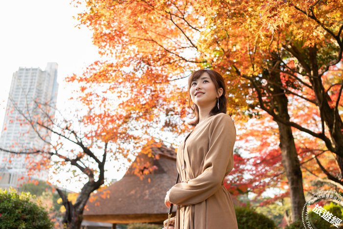 日本旅遊：廣島七大自然療癒系景點  放鬆心靈拍美照打卡