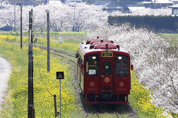 鐵道迷快收藏！盤點台、日「10大必搭鐵道列車」 移動式星級酒店、日本最大型玻璃車窗
