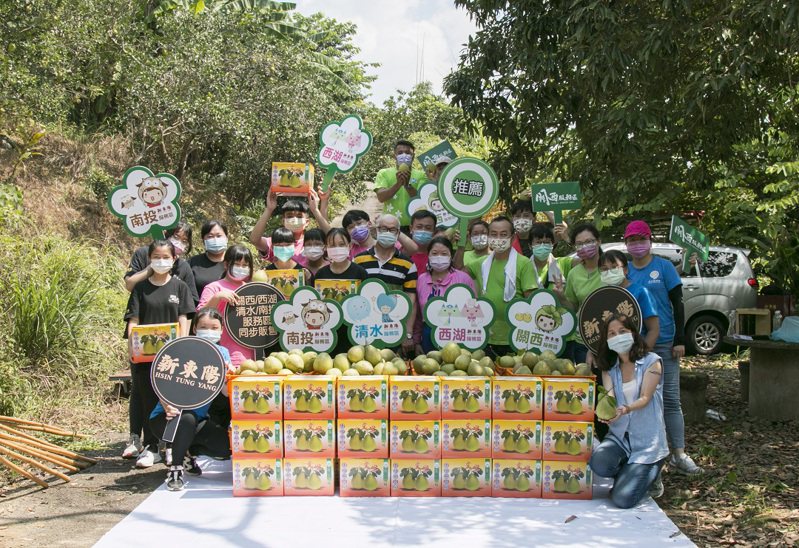 新東陽五大服務區「”柚”來做好事」公益義賣將於9月8日開始，數量有限售完為止。新東陽提供