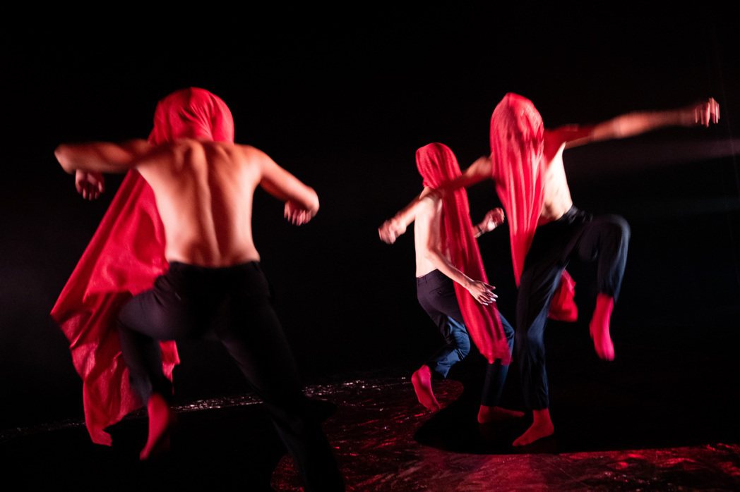 舞作《深林》要讓觀眾切身體感到深入森林的感觸與想像。圖片提供／TAI身體劇場