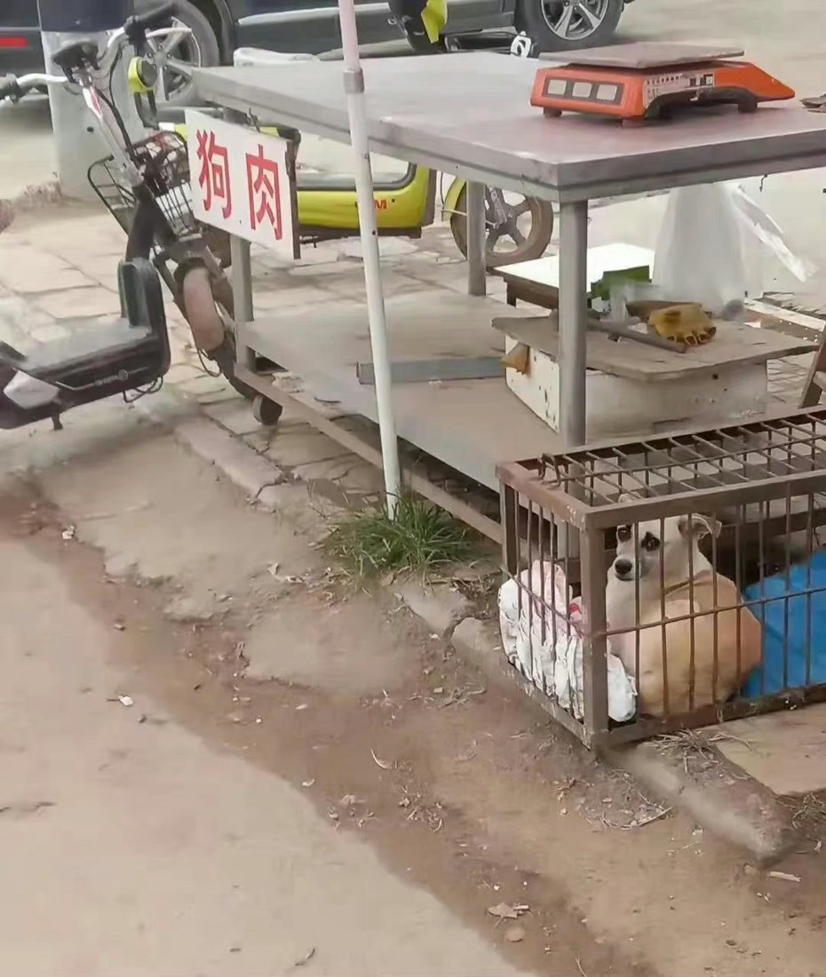 網友路過一間狗肉攤，想把狗狗帶走卻疑似被趁機漲價。圖擷自微博