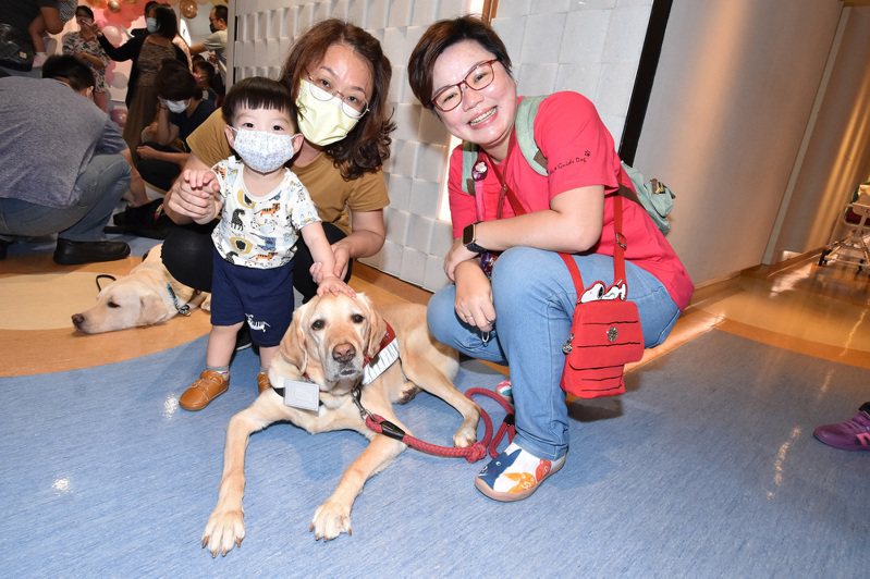 彰基兒童醫院今天舉辦「早產兒回娘家」活動，並結合「台灣狗狗節」，出動醫療輔助犬及導盲犬 陪伴，讓活動更有趣味也更有意義。圖／彰基提供