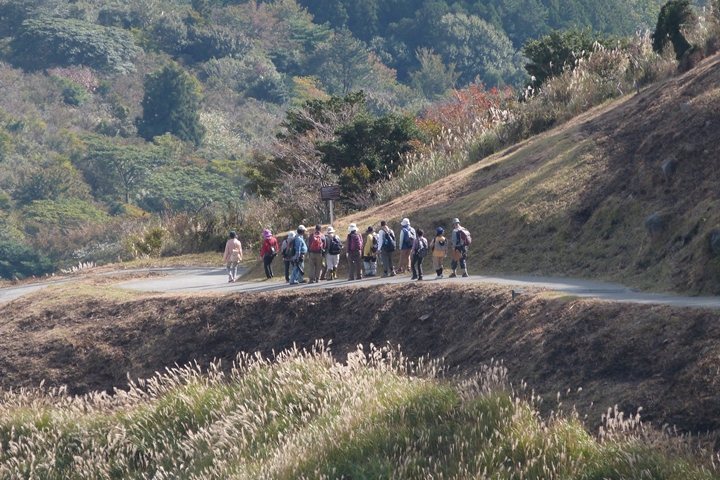 ▲自然觀察會整趟行程約5小時，每一梯次僅限20人，會日文又熱愛自然的旅人不可錯過。　圖：東伊豆町觀光協會／來源