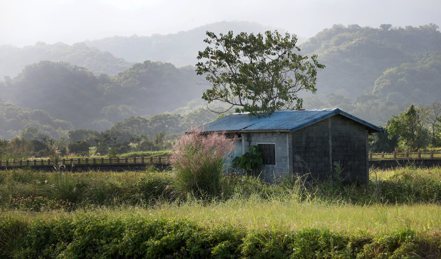 有網路傳言台東池上55公頃農地變光電。圖為台東田邊的農舍，僅為示意圖，與新聞內容無關。 聯合報系資料照