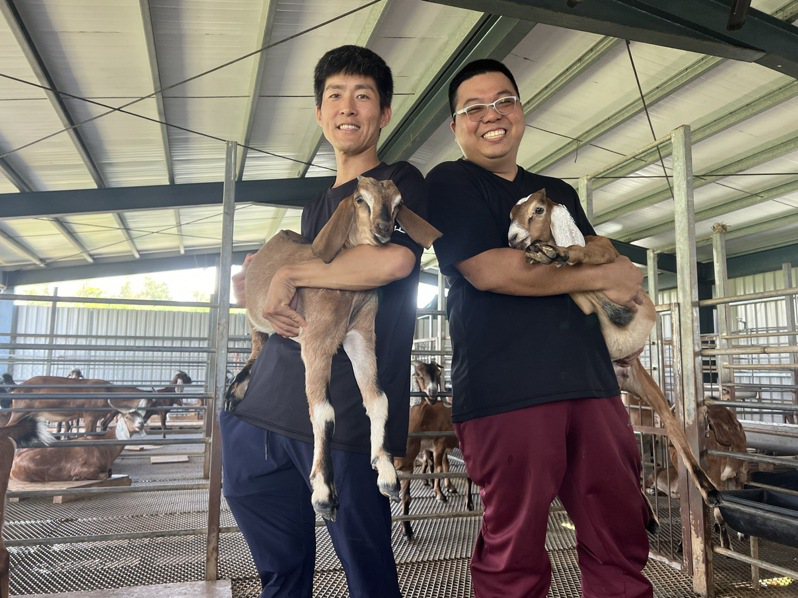 陳弘銘（左）與洪銘志兩位大學的同學，攜手成立風車畜牧場，目前已養了600多隻羊，是金門規模最大的養羊畜牧場。記者蔡家蓁／攝影