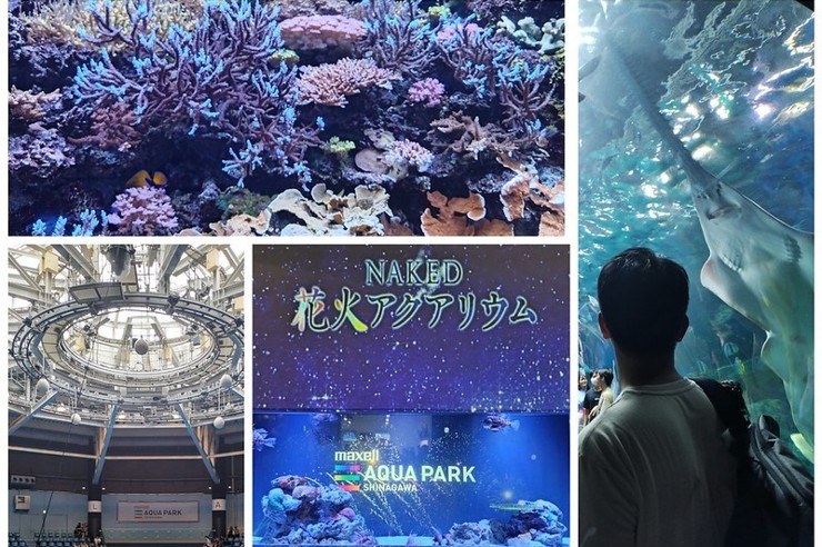 日本[玩]品川水族館Maxell Aqua Park Shinagawa