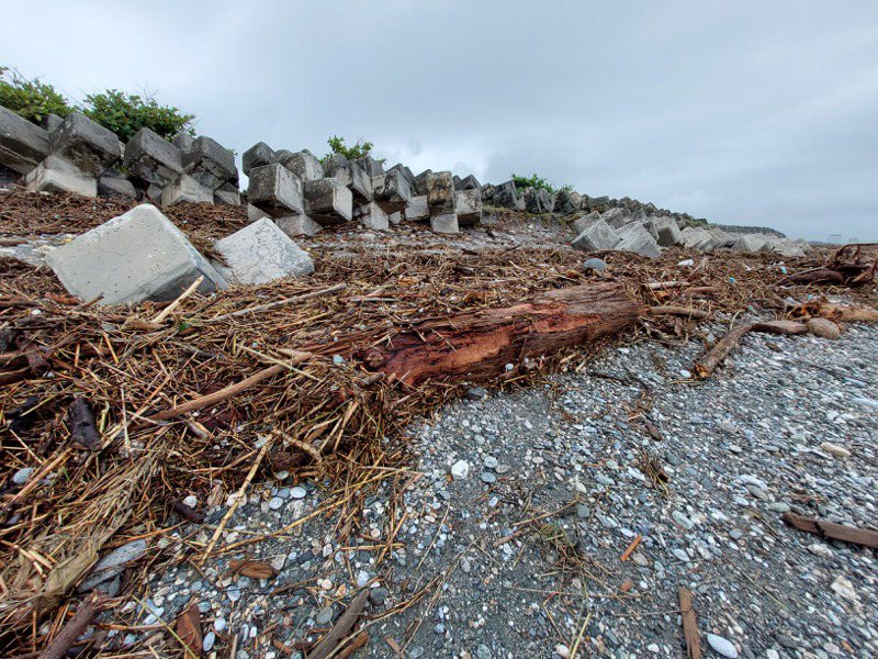 颱風過境後，花蓮化仁海堤堆積大量漂流木。圖／林業署花蓮分署提供