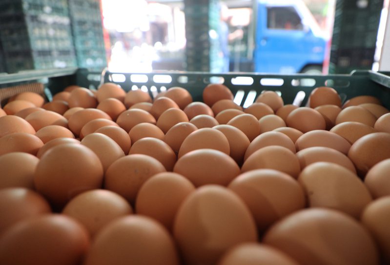 巴西進口蛋標示不實引發外界疑慮，農業部長陳吉仲雖然出面說明進口蛋流向與將銷毀五千多顆蛋，市面上也流通許多未標示品名及產地的散裝蛋。圖為雞蛋批發示意圖，非新聞當事人。記者潘俊宏／攝影