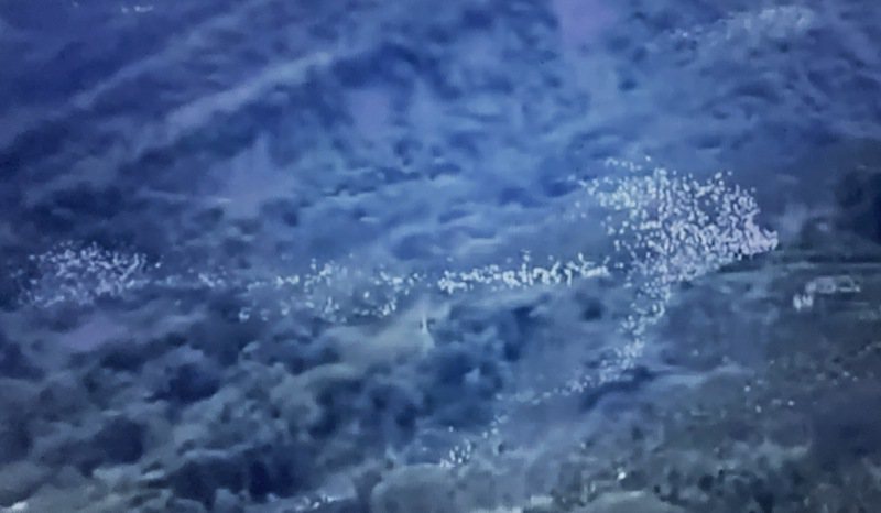 樟湖黃頭鷺群集山谷，有民眾日前捕捉到萬鳥群飛的精彩畫面，十分壯觀，這也近年難得數量最多的一次。記者蔡維斌／翻攝