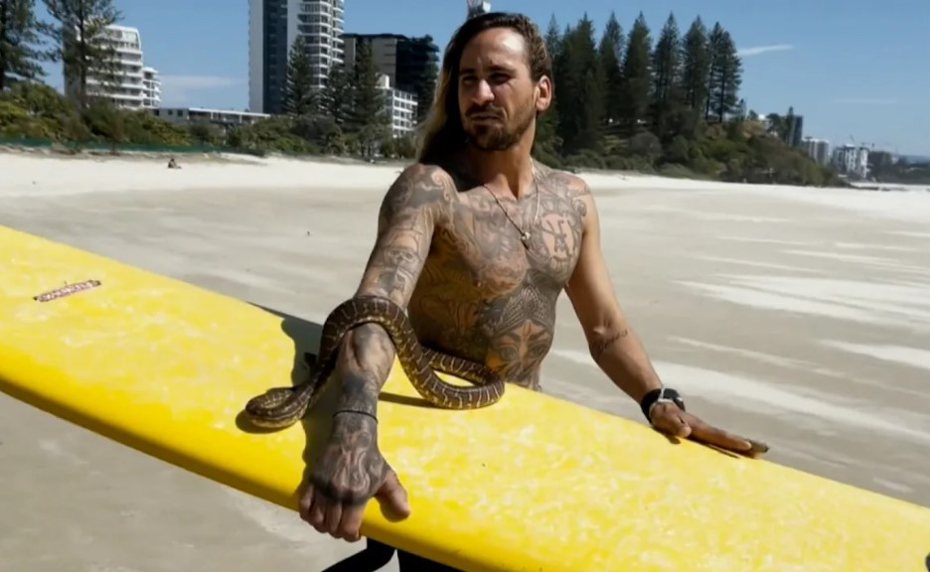 澳洲一名衝浪客在蔚藍海浪中奮勇前進時，脖子上竟盤著他的寵物蟒蛇，這段影片在澳洲黃金海岸造成轟動。然而此舉被當局認定不法，男子因此挨罰2322澳元（約新台幣4.8萬元）。圖／截自CNN
