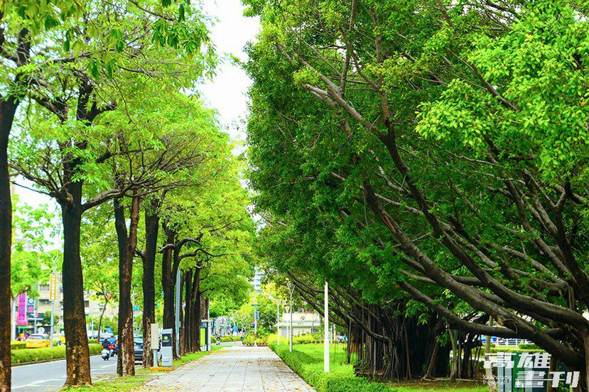 行道樹具有淨化空氣、削減噪音、美化環境以及調節城市溫度等功能，將「水」與「綠」融...