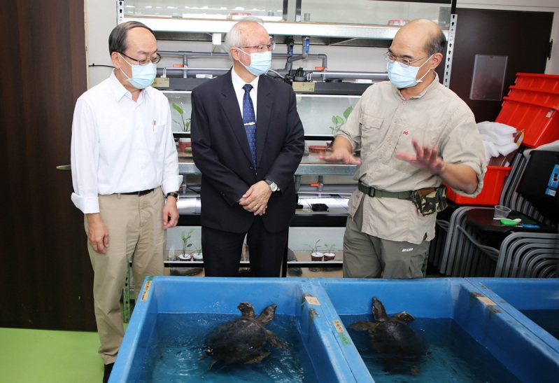 嘉大生物資源學系主任許富雄副教授（右）解說豬鼻龜的習性。圖／嘉義大學提供
