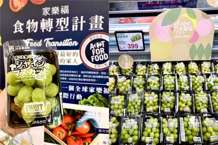 家樂福開賣日本麝香葡萄，每盒399元，限量1萬盒。圖／家樂福提供