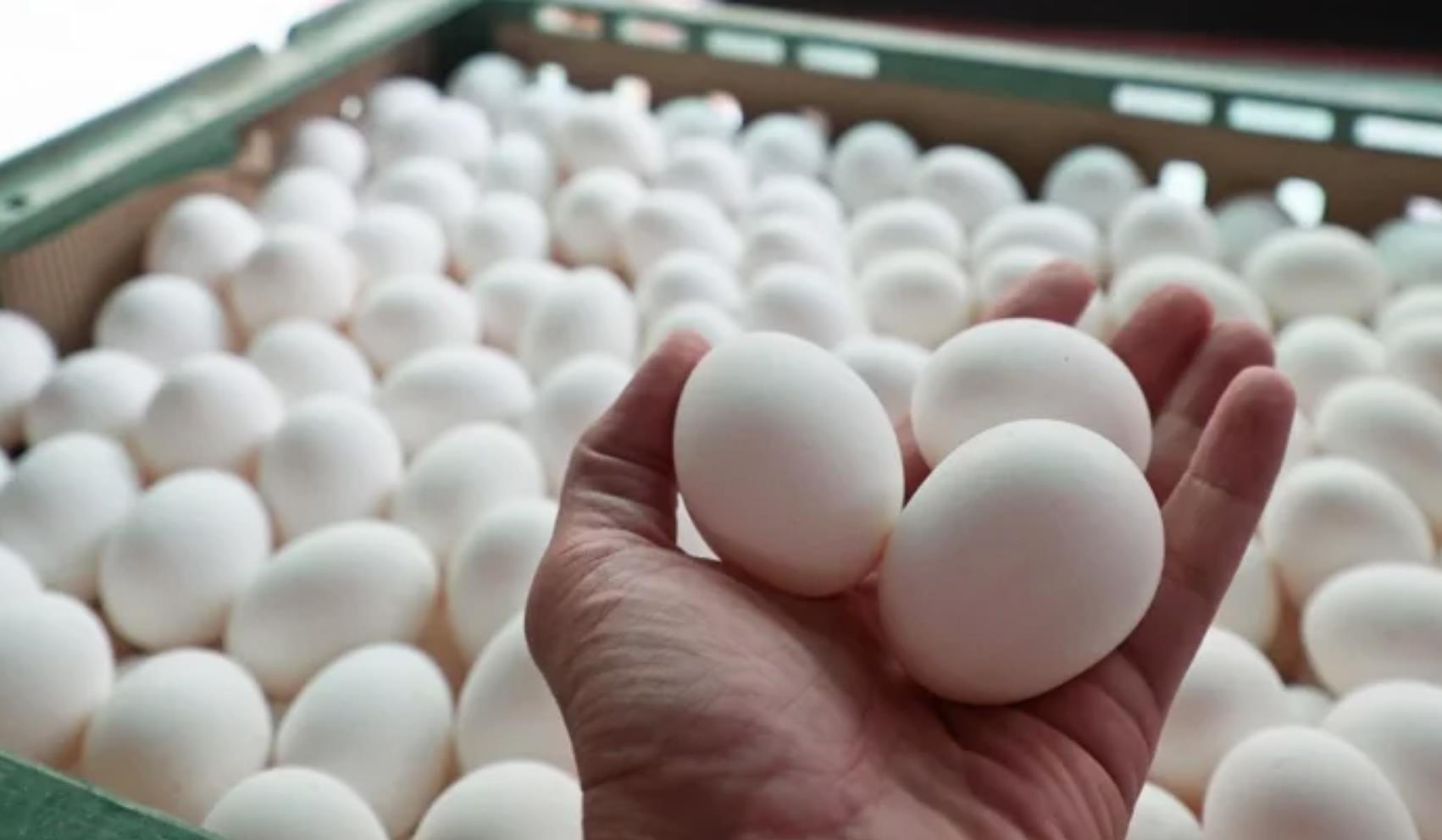 雞蛋別和它一起吃？吃下洗過的變質雞蛋致肝癌？ 