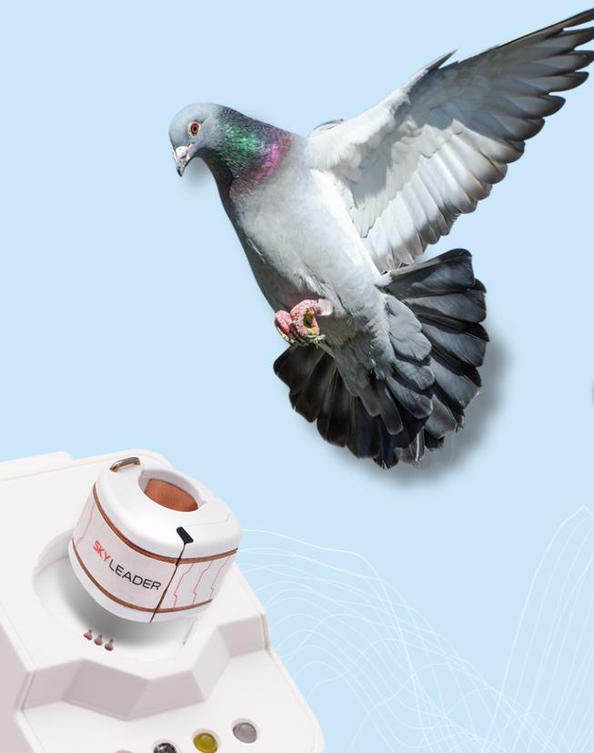 吉翔樂是賽鴿飛行紀錄器材領導廠商，用的就是達發的晶片。吉翔樂官網。