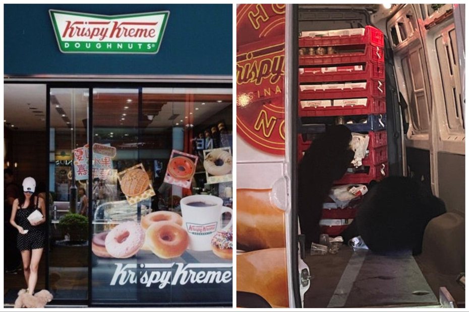 黑熊闖入連鎖甜甜圈品牌物流車都吃甜甜圈。左圖本報資料照、右圖取自臉書