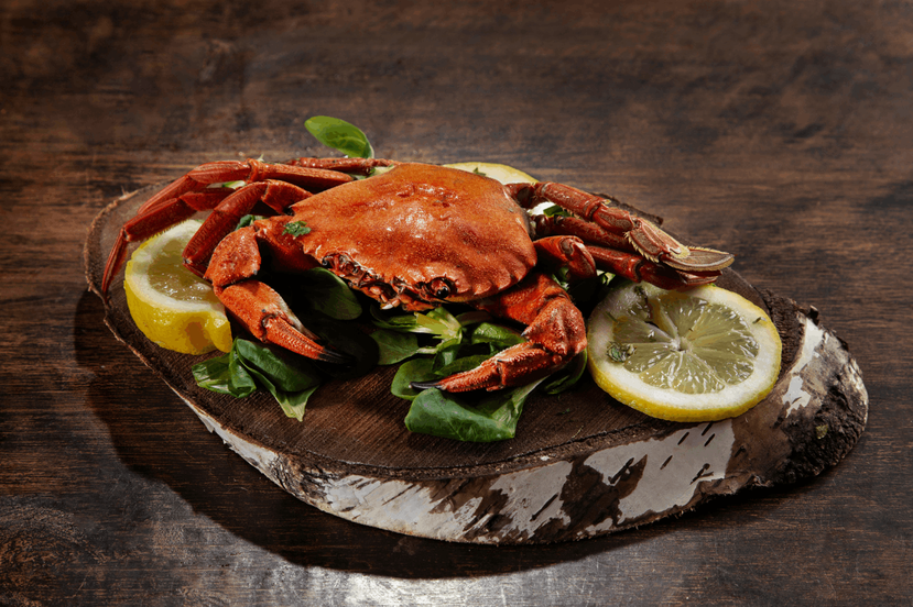 螃蟹是高營養價值食品：富含蛋白質與鈣、磷、鋅等多樣礦物質，且脂肪含量低，吃後能迅...