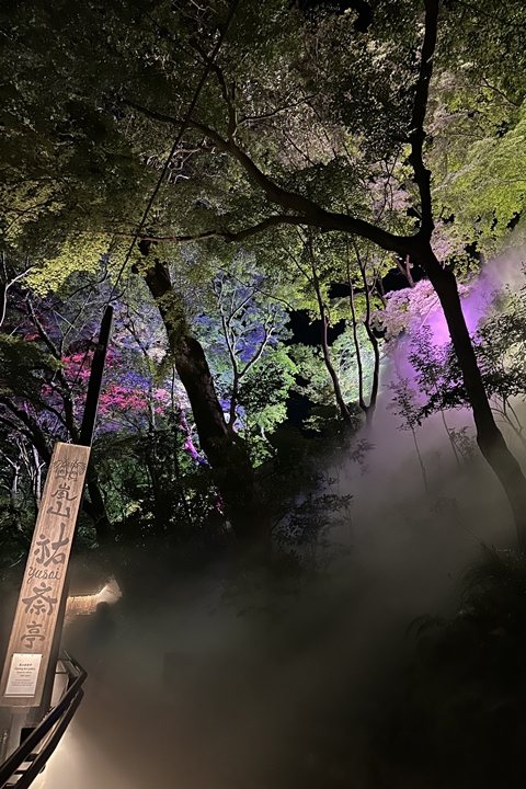 ▲晚上到訪設施，則能欣賞「京都嵐山雲海露台」搭配夜間點燈的夢幻演出。　圖：染工房夢祐斎／來源