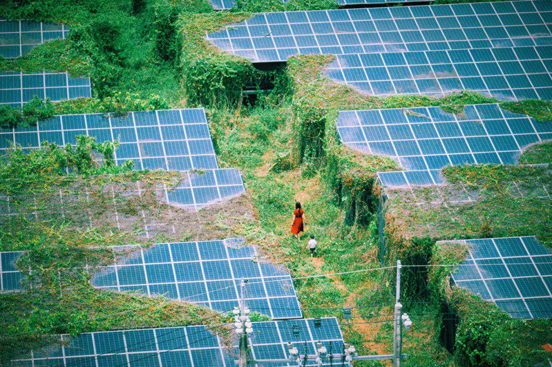 林儀瑄拍下這張廢棄光電場的照片得獎，希望國人共同省思如何在再生能源及國土保育取得平衡點。圖／林儀瑄提供