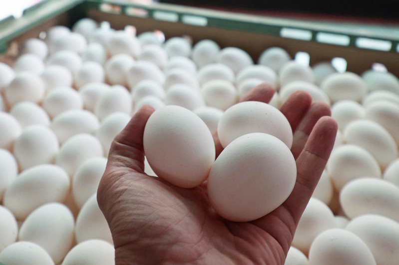 雞蛋食用安全爭議延燒。圖／聯合報系資料照片