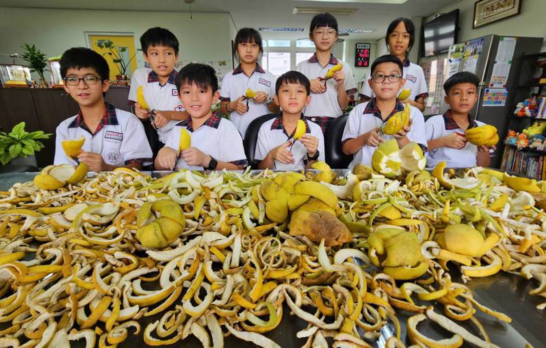 彰化縣和東國小師生在中秋節前夕蒐集柚子皮，準備製作成天然柚子皮蚊香。圖／和東國小提供