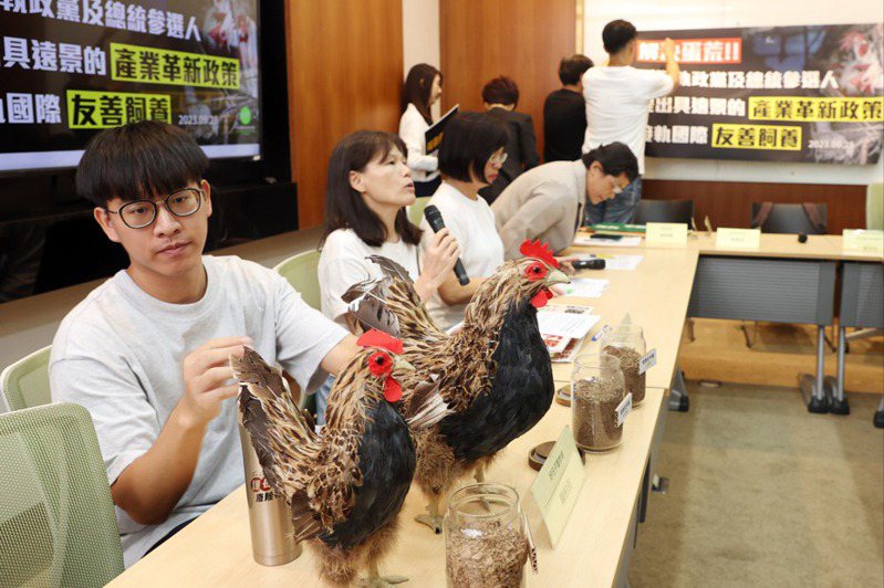 台灣動物社會研究會指出，國內養雞產業的落後，導致產能低落，呼籲執政黨及總統參選人提出產業革新政策。記者邱德祥／攝影