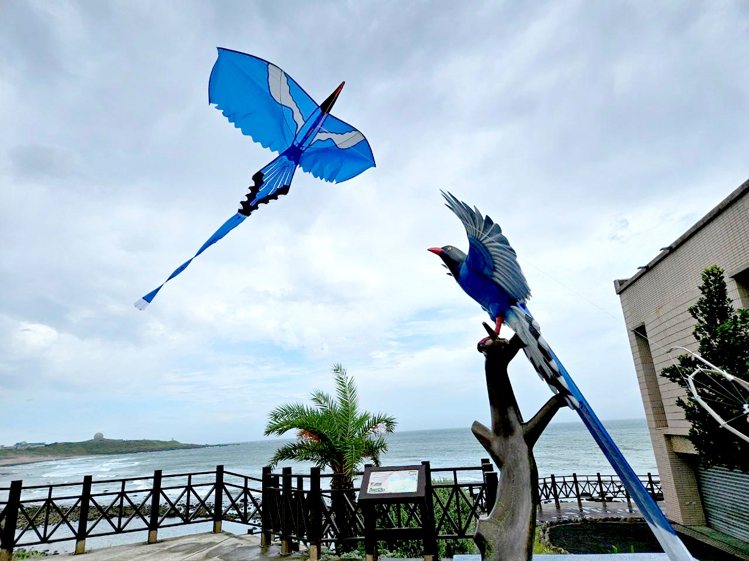 圖／2023新北市北海岸國際風箏節官網