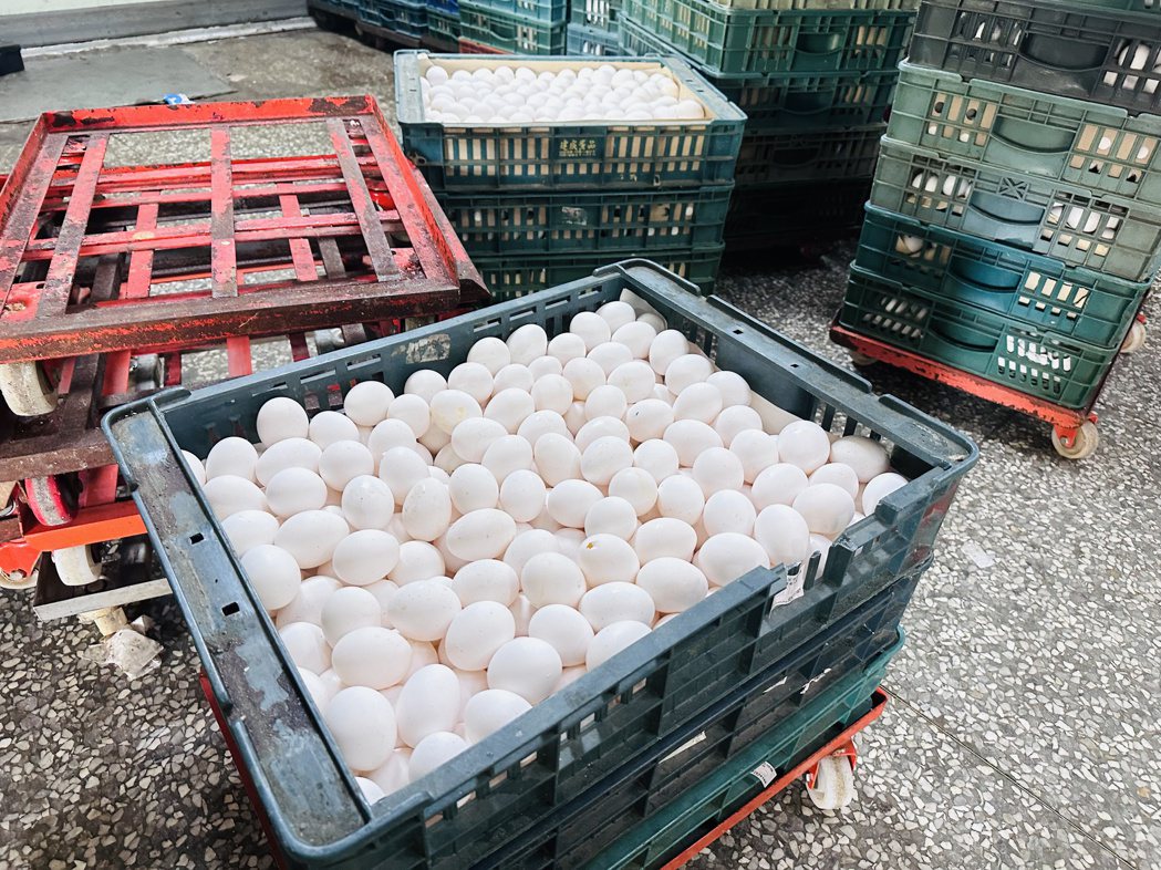 福商勝蛋品多向傳統市場出售殼蛋，工廠內仍有不少雞蛋層架，籃子外面也貼有牧場來源。...