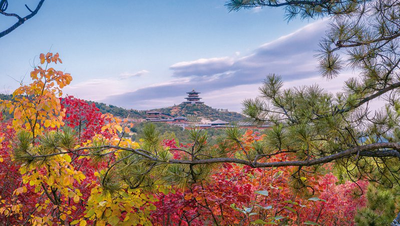 太山以深秋紅葉著稱，被評為太原美若仙境景點榜第一名。圖／本報山西太原傳真