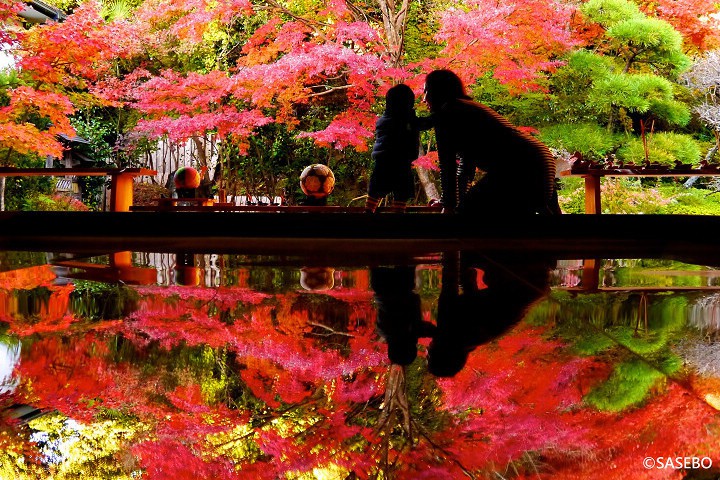 日本旅遊：免費巴士遊長崎 秋天必玩景點攻略快筆記！
