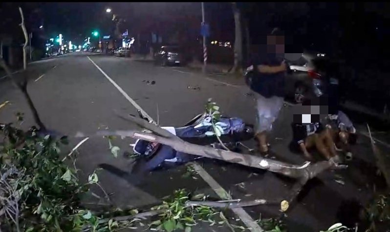 小犬颱風吹斷高雄路樹，不巧枝幹擊中路過的2名女騎士。記者林保光／翻攝