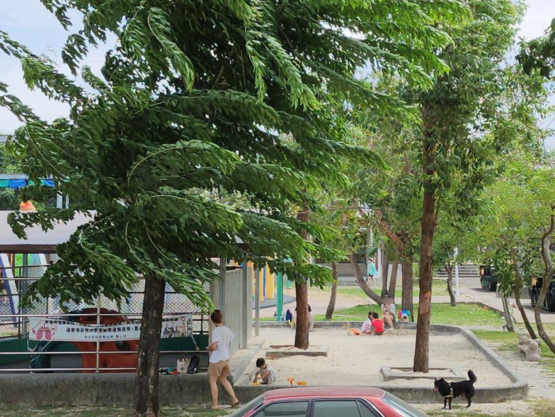 南投縣今天放颱風假，但上午平地雖偶有強風，但未降雨，不少家長把握晴朗天氣晴朗帶小孩到公園放風玩沙。記者賴香珊／攝影