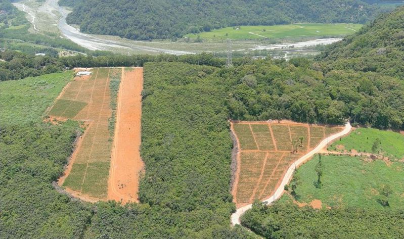 農業部農村水保署提供6月2日空拍長良林道永良段土地照片。圖／監察院提供