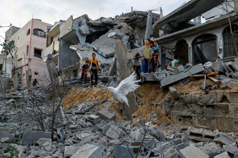 以色列持續轟炸加薩走廊，紐約時報專欄作家提醒人們省思，在戰爭中平民難免受苦。圖為加薩南部汗尤尼斯一處廢墟裡，一隻白鴿正準備展翅飛翔。路透