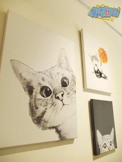 ▲喜歡貓的朋友，一定會被牆上生動的貓咪畫作主題給吸引住。