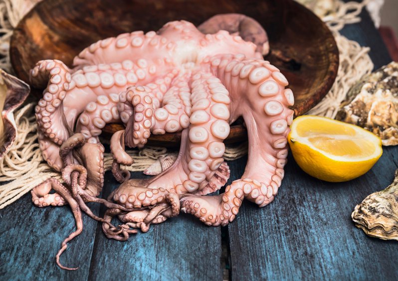 南韓這道生吃章魚的名菜年約6人因為食用意外導致死亡，近日再有一名老翁因為在家享用生章魚而心臟病發亡。此為生章魚示意圖，圖片來源：Ingimage