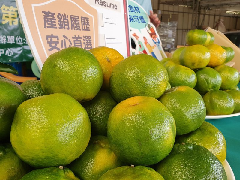 台南東山南寮地區出產的青皮椪柑酸甜可口，很受市場歡迎。記者莊曜聰／攝影