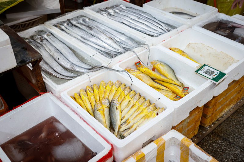 9月日本對中國大陸的魚類和海鮮出口額為5868萬日圓，較去年同期下降99.3%。（歐新社）